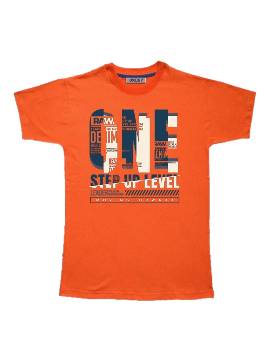 REMERA ART.3060 T.4/6/8/10/12/14 VARON CON ESTAMPA ONE STEP UP LEVEL
Talles: 4 A 14