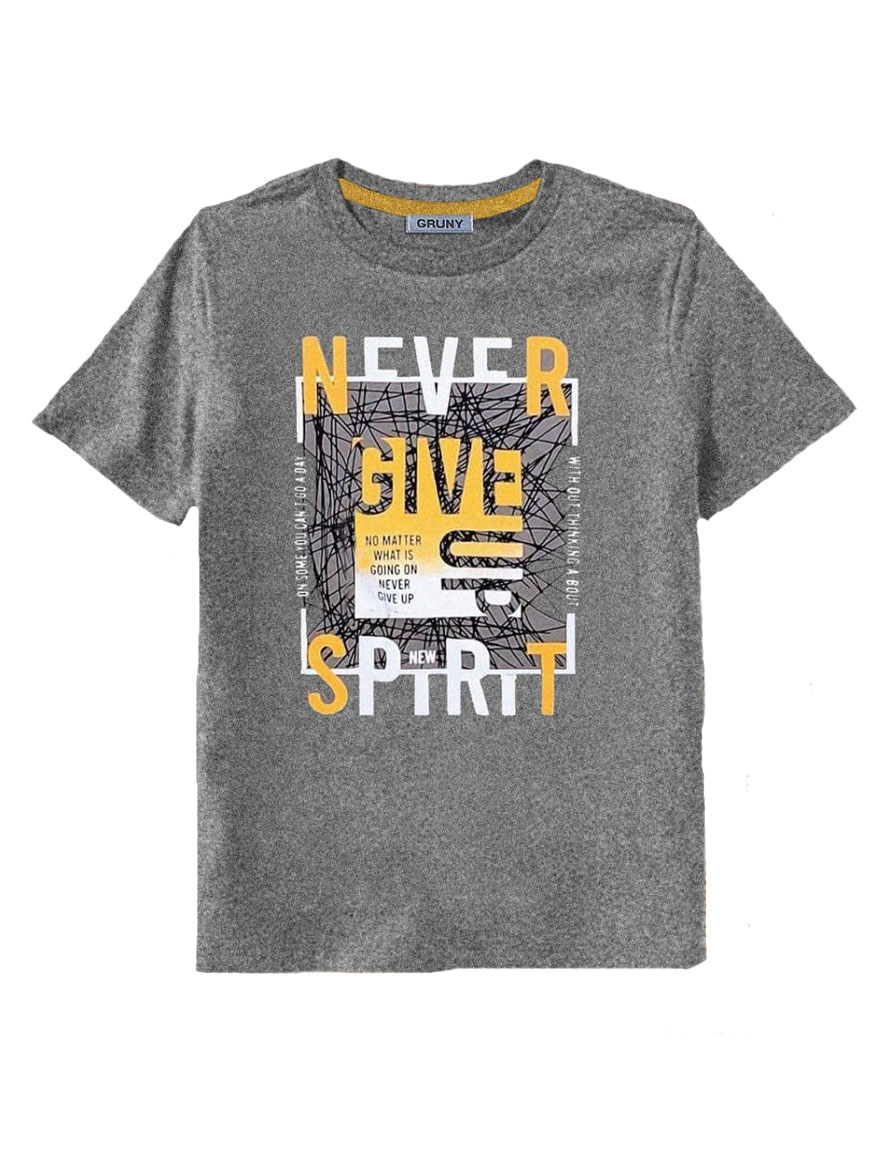 REMERA ART.3061 T.4/6/8/10 VARON CON ESTAMPA NEVER GIVE UP
Talles: 4 A 10